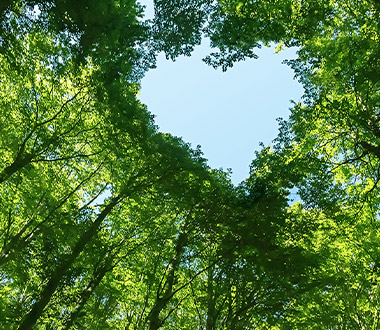 Not Only Ecological but Economical – the Newest Trend In the Sector of Dispensers Is Called Sustainability